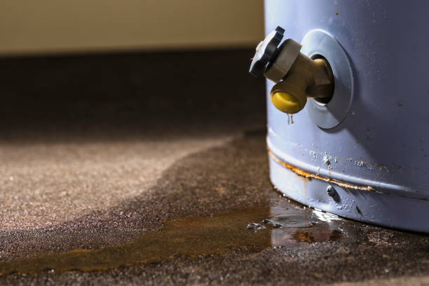 Best Water damage restoration near me  in , CT
