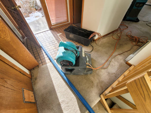 Best 24/7 water damage repair  in , CT