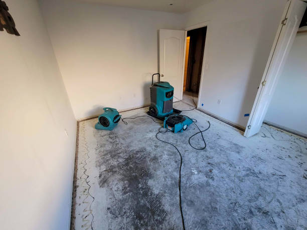 Best Water damage restoration near me  in , CT