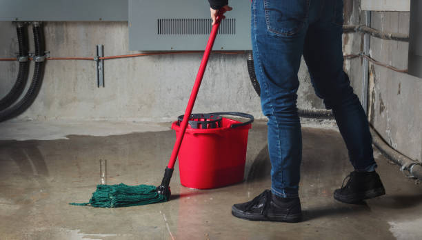 Best Flood damage cleanup  in , CT