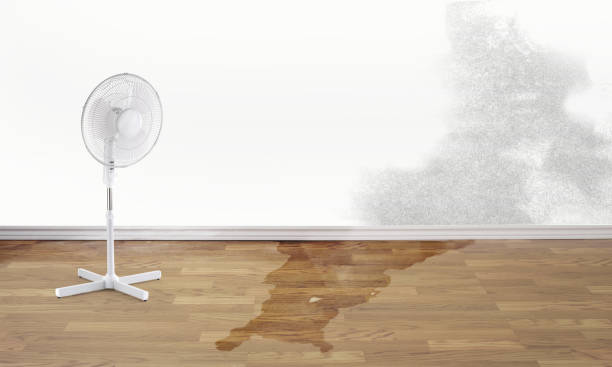 Best Emergency water damage restoration  in , CT