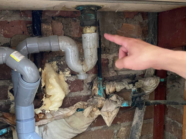 Best Professional water damage repair  in , CT