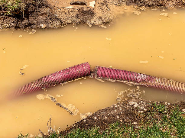 Best Water damage contractors near me  in , CT