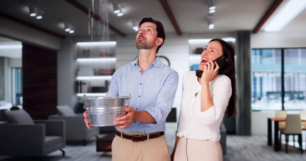 Best 24-hour water damage restoration  in , CT