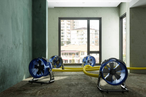 Best Fire Damage Restoration  in , CT